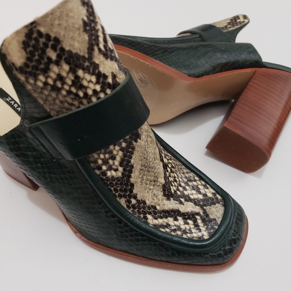 Zara Shoes - Zara Snakeskin Green/ Brown Mules Block Heels